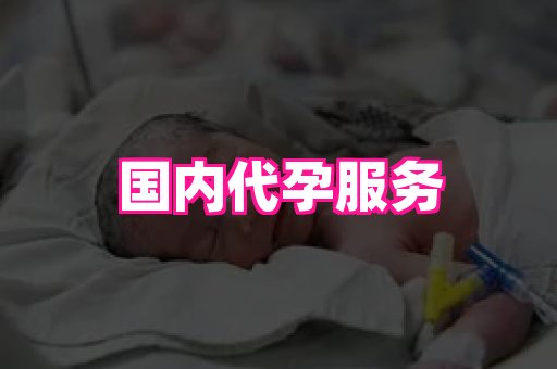 gfg孕网 1