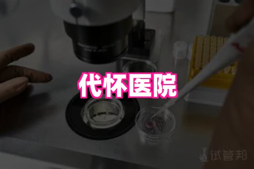 gfg孕网 4